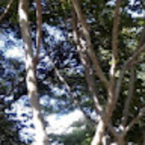 Meet your Posher, Julian